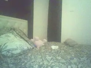 Cam4 Sex Cam of Soumislope9