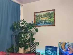 Cam4 Adult Webcam of AmmieStelman