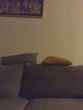 Cam4 Live Sex of Hotfrenchdick