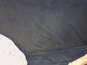 Cam4 Free Live Porn of RoxannPepper