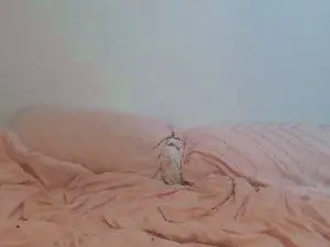 Cam4 Watch Live Sex Cams of Loladomina78