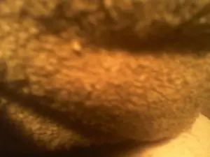 Cam4 Private Sex Chat of allblond1