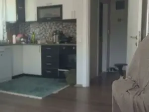 Cam4 Free Live Porn of ANDREX1X