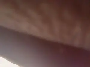 Cam4 Live Sex Cam of Roylarry