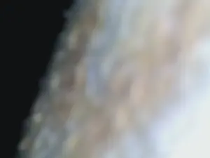 Cam4 Watch Live Sex Cams of juliencha