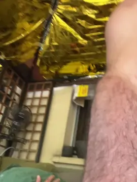 Cam4 Free Live Porn of cho54_fun