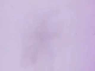 Camsoda Adult Webcam of sienafox