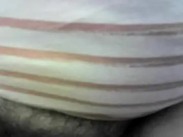 Chaturbate Adult Webcam of felicaste