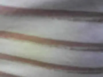 Chaturbate Live Sex Cam of felicaste