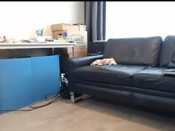 Chaturbate Adult Webcam of porncock79