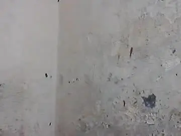 Chaturbate Live Porn of iiiirasoa