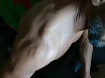 Stripchat Free Porn Cam of coacharabian