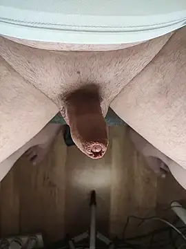 Stripchat Live Sex Cam of TobyDick13