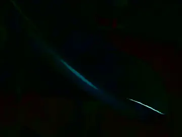 Stripchat Live Sex Cam of TobyDick13