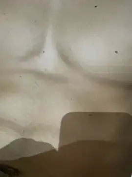 Stripchat Sex Cam of favormaker