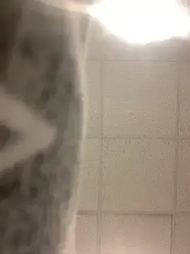 Stripchat Free Live Porn of Sexgame69
