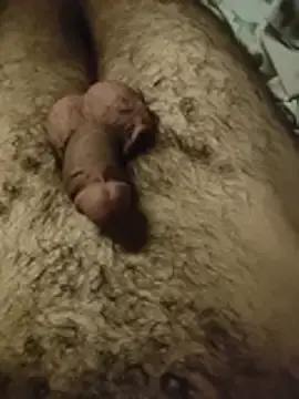 Stripchat Sex Cam of NilsonDick