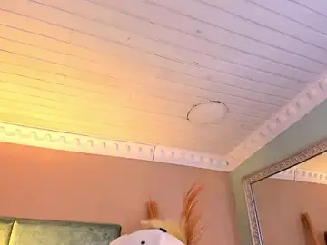 Stripchat Best Webcam of DannTaylor