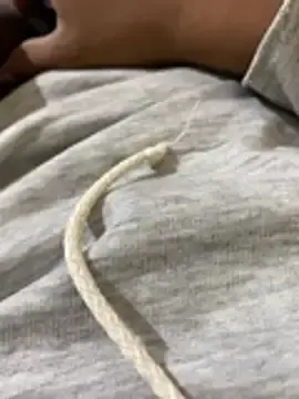 Stripchat Watch Live Sex Cams of stuard-19