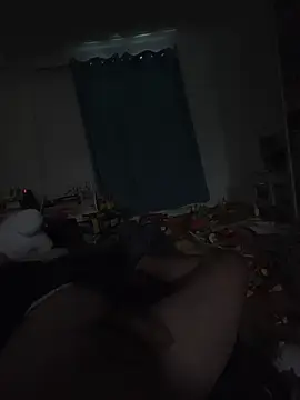 Stripchat Adult Video Chat of thefox92