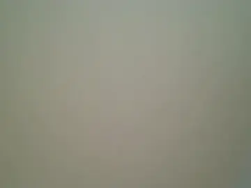 Stripchat Watch Live Sex Cams of Mushroom83