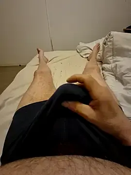 Stripchat Free Porn Cam of Bretoncool