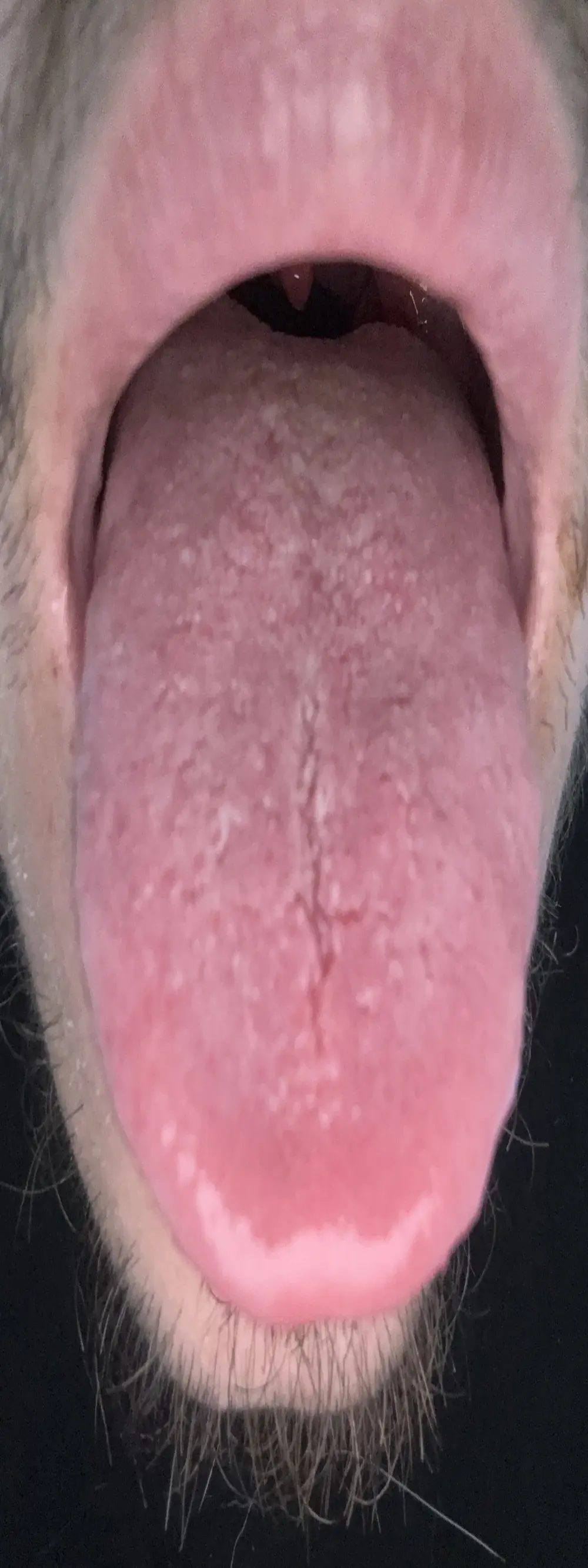 HeteroSexAddict