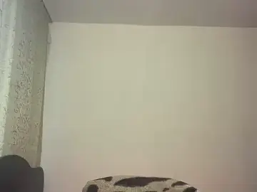 Stripchat Free Live Porn of ToddWarren