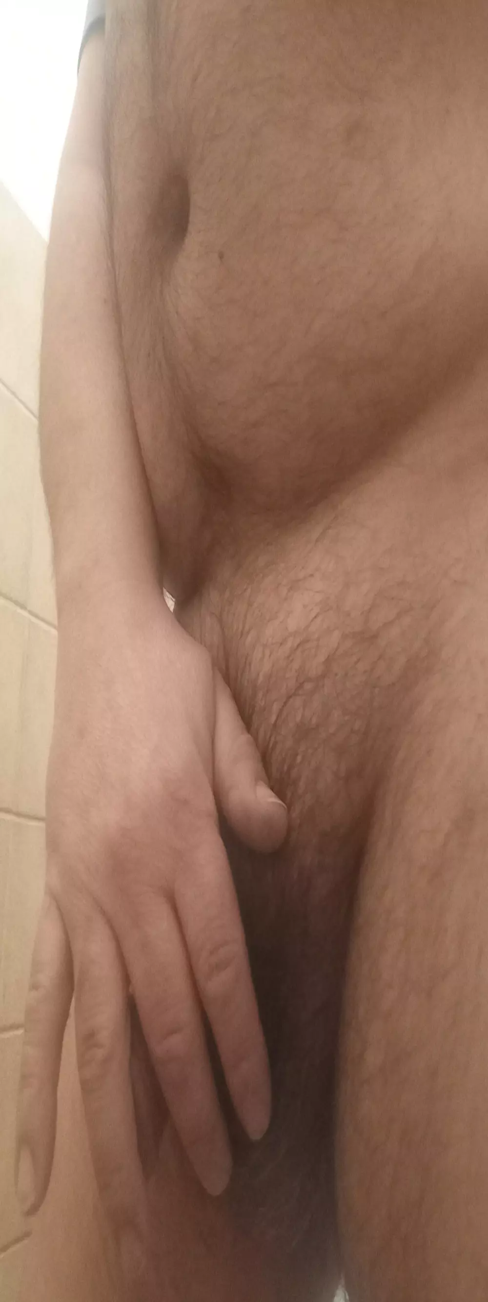 sexenu88