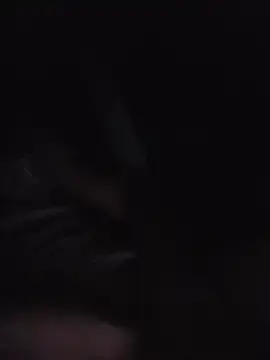 Stripchat Free Porn Cam of paffmignon