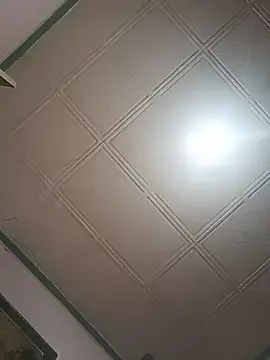 Stripchat Nude Webcam of HAIRY_PUSSY_BIG