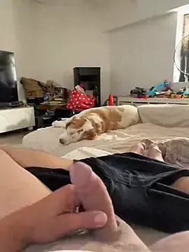 Stripchat Live Sex of carapace31