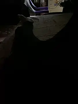 Stripchat Adult Webcam of Bondook26